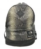 SUPREME×THE NORTH FACEシュプリーム×ザ ノース フェイス）の古着「Snakeskin Lightweight Day BackPack」｜グレー