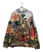 DRIES VAN NOTENドリスヴァンノッテン）の古着「Botanical Landscape Oversized Hoodie」｜グレー