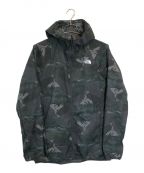 THE NORTH FACEザ ノース フェイス）の古着「Novelty Swallowtail Vent Hoodie」｜グリーン