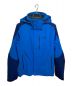 Patagonia（パタゴニア）の古着「Piolet Jacket」｜ブルー