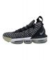 NIKE (ナイキ) NIKE LEBRON 16 ブラック サイズ:25.5㎝：5000円