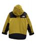 THE NORTH FACE (ザ ノース フェイス) マウンテンダウンジャケット イエロー サイズ:S：35000円