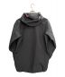 ARC'TERYX (アークテリクス) Alpha SVジャケット グレー サイズ:M：55000円