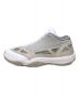 NIKE (ナイキ) AIR JORDAN 11 RETRO LOW IE グレー×ホワイト サイズ:US10 未使用品：13000円