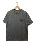 Patagoniaパタゴニア）の古着「Responsibili-Tee」｜グレー