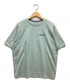 Patagoniaパタゴニア）の古着「Tシャツ」｜ブルー