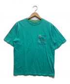 Patagoniaパタゴニア）の古着「ポケットTシャツ」｜スカイブルー