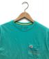 Patagonia (パタゴニア) ポケットTシャツ スカイブルー サイズ:S：2980円