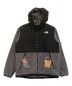 THE NORTH FACE（ザ ノース フェイス）の古着「Denali Hoodie」｜Z ミックスグレー