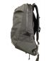 ARC'TERYX (アークテリクス) BEAMS (ビームス) リュック Arro 22 Backpack グレー：22000円