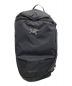 ARC'TERYX（アークテリクス）の古着「Heliad 10L Backpack」