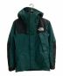 THE NORTH FACE（ザ ノース フェイス）の古着「マウンテンジャケット」｜グリーン