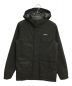 Patagonia（パタゴニア）の古着「Isthmus Parka」｜グレー