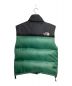 THE NORTH FACE (ザ ノース フェイス) ダウンベスト グリーン サイズ:M：12000円