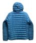 Patagonia (パタゴニア) ダウンジャケット ブルー サイズ:M：27000円