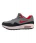 NIKE (ナイキ) AIR MAX 1 G グレー×レッド サイズ:26㎝：10000円