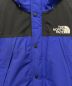 中古・古着 THE NORTH FACE (ザ ノース フェイス) マウンテンダウンジャケット ブルー×ブラック サイズ:L：40000円