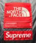 THE NORTH FACEの古着・服飾アイテム：79800円