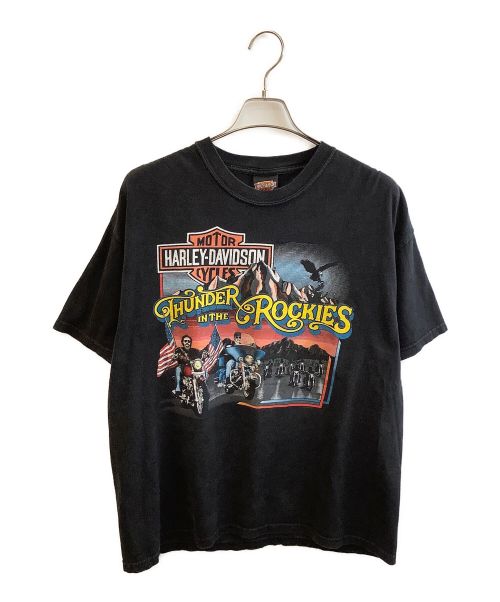 HARLEY-DAVIDSON（ハーレーダビッドソン）HARLEY-DAVIDSON (ハーレーダビッドソン) Tシャツ ブラック サイズ:XLの古着・服飾アイテム