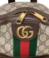 GUCCI (グッチ) オフィディアバックパック ブラウン：70000円