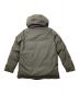 THE NORTHFACE PURPLELABEL (ザ・ノースフェイス パープルレーベル) 65/35 SEROW DOWN JACKET グレー サイズ:L：22000円