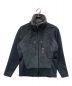 THE NORTH FACE（ザ ノース フェイス）の古着「Alpinist Jacket」｜グレー