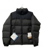 THE NORTH FACEザ ノース フェイス）の古着「GTX Nuptse Jacket」｜ブラック