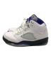 NIKE (ナイキ) AIR JORDAN 5 RETRO DARK CONCORD ホワイト×パープル サイズ:SIZE28：10000円