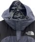 THE NORTH FACE (ザ ノース フェイス) NOVELTY MOUNTAIN JACKET インディゴ サイズ:S：18000円