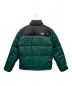 THE NORTH FACE (ザ ノース フェイス) ダウンジャケット グリーン×ブラック サイズ:M：17000円