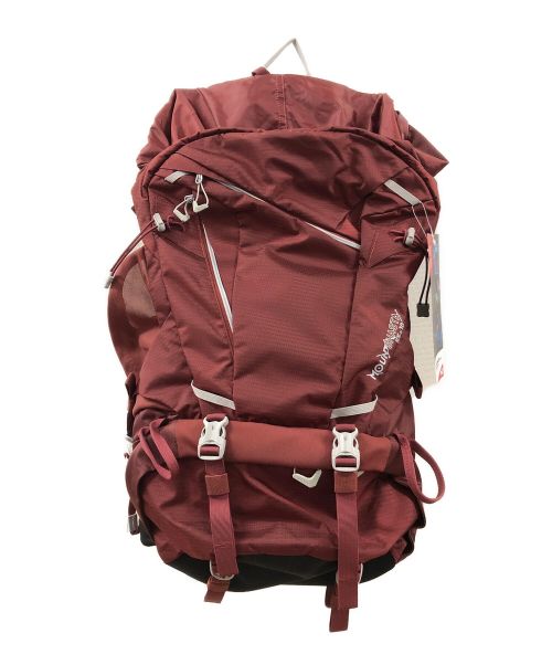 MILLET（ミレー）MILLET (ミレー) MOUNT SHASTA 55+10　バックパック ボルドー×グレー 未使用品の古着・服飾アイテム