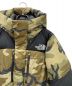 THE NORTH FACE (ザ ノース フェイス) Novelty Baltro Light Jacket ブラック×オリーブ サイズ:M：38000円