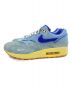 NIKE (ナイキ) Nike Air Max 1 Premium 