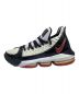 NIKE (ナイキ) LEBRON XVI SB ホワイト×ブラック サイズ:25.5cm：6000円