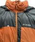 Columbia (コロンビア) BULO POINT PASS DOWN JACKET ブラウン サイズ:M：17800円