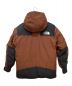 THE NORTH FACE (ザ ノース フェイス) マウンテンダウンジャケット ブラウン サイズ:L：35000円