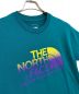 THE NORTH FACEの古着・服飾アイテム：3980円