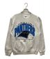 Hanes（ヘインズ）の古着「スウェット　90S～/NFL CAROLINA PANTHERS/VINTAGE」｜グレー