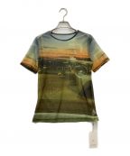 MAISON SPECIALメゾンスペシャル）の古着「AIR PORT Print T-shirt/シアーカットソー」｜マルチカラー