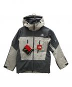 THE NORTH FACEザ ノース フェイス）の古着「RTG Jacket」｜ライトグレー