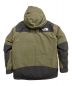 THE NORTH FACE (ザ ノース フェイス) マウンテンダウンジャケット グリーン サイズ:M：36800円