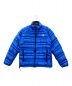 THE NORTH FACE（ザ ノース フェイス）の古着「Flash JACKET（フラッシュジャケット）」｜ブルー