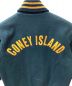 中古・古着 CONEY ISLAND (コニーアイランド) STADIUM JACKET グリーン サイズ:L：6000円