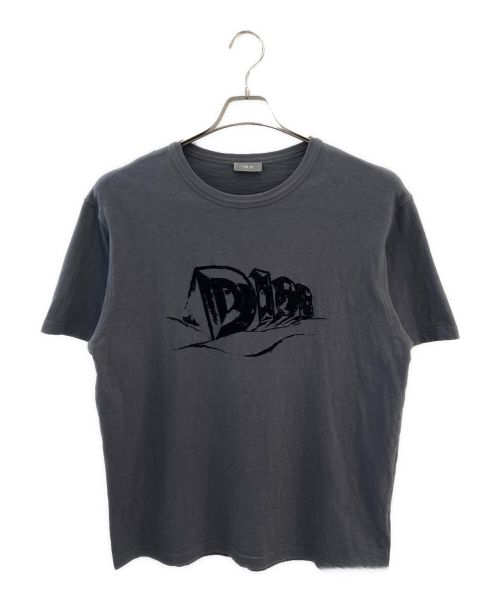 Dior（ディオール）Dior (ディオール) カットソー/Tシャツ グレー×ブラック サイズ:XXLの古着・服飾アイテム