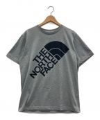 THE NORTH FACEザ ノース フェイス）の古着「Tシャツ」｜グレー