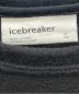 Icebreaker (アイスブレーカー) ロングスリーブポケットT ブラック サイズ:S：3980円