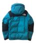 THE NORTH FACE (ザ ノース フェイス) Baltro Light Jacket/バルトロライトジャケット ハーバーブルー サイズ:L：38000円