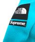 中古・古着 THE NORTH FACE (ザ ノース フェイス) SUPREME (シュプリーム) Arc Logo Denali Fleece Jacket スカイブルー サイズ:L：29800円