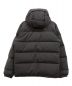 THE NORTH FACE (ザ ノース フェイス) Bonded Down Sierra Jacket グレー サイズ:M：12800円