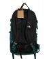 THE NORTH FACE (ザ ノース フェイス) テルス25 グリーン：10000円